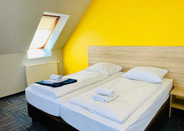 Azalia Ustronie Morskie