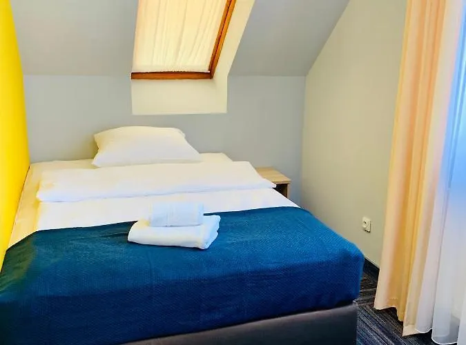 Azalia Ustronie Morskie