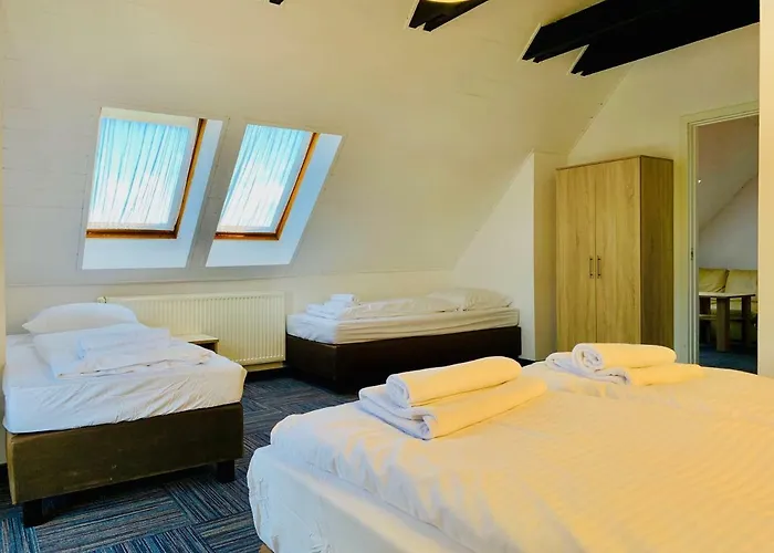 Azalia Ustronie Morskie