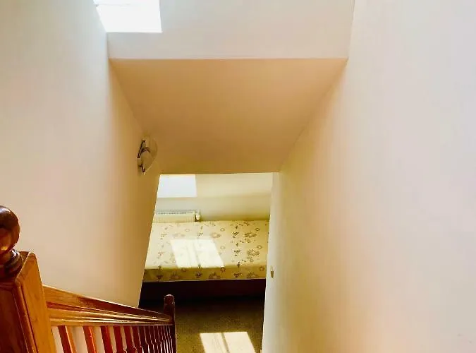 Bed and Breakfast Azalia 4*