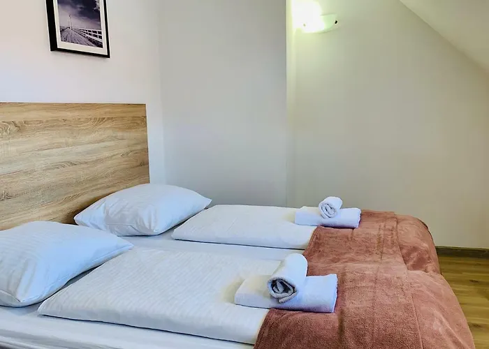 Azalia Ustronie Morskie